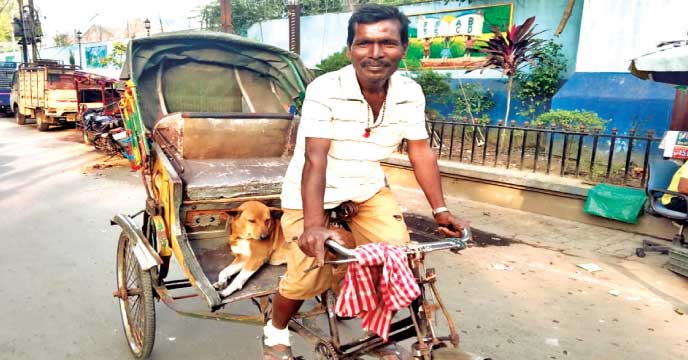 লালু-বাদল: বন্ধুত্বের এক অনন্য নিদর্শন দেখা মিলল শিলিগুড়ির বাগড়াকোট এলাকায়