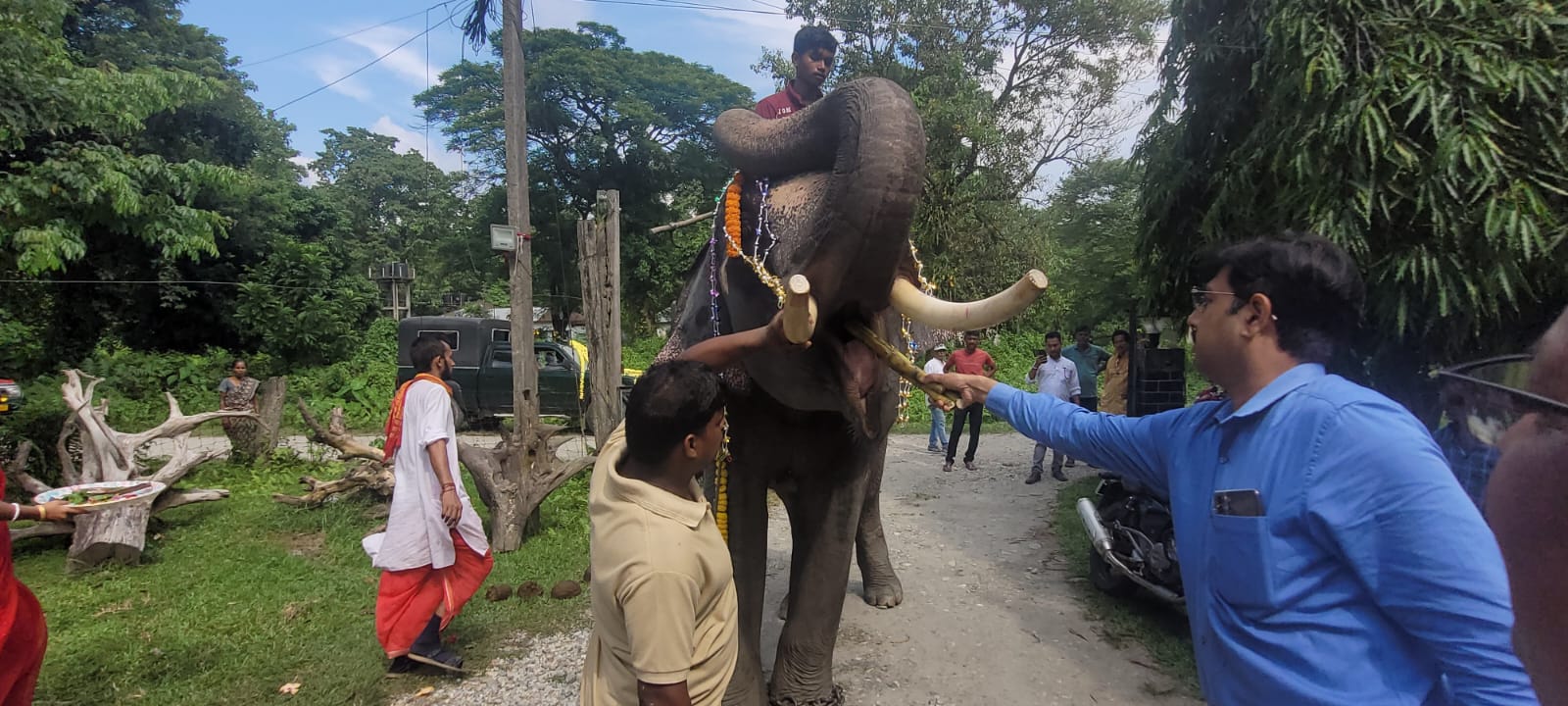 বিশ্বকর্মার পুজোর দিন জলদাপাড়াতে করা হল হাতি পুজো