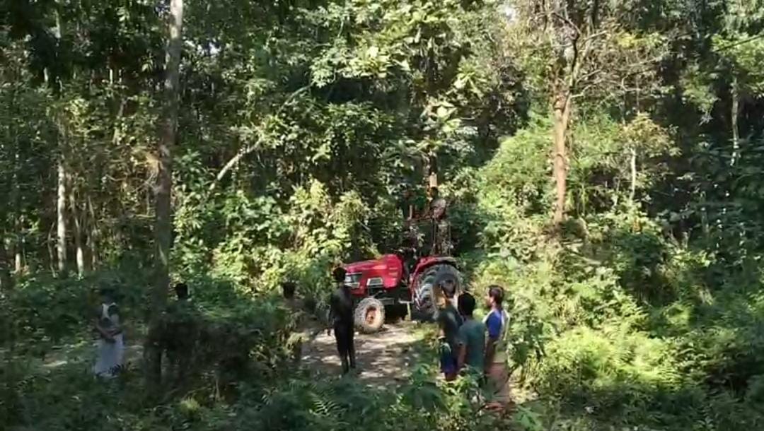 কোচবিহারে বাইসনের হামলায় যখম এক মহিলা