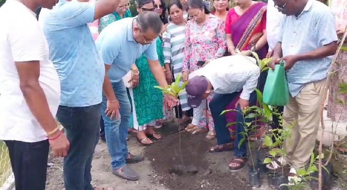 পরিবেশ রক্ষার জন্য বৃক্ষ রোপণ করা হয়েছে