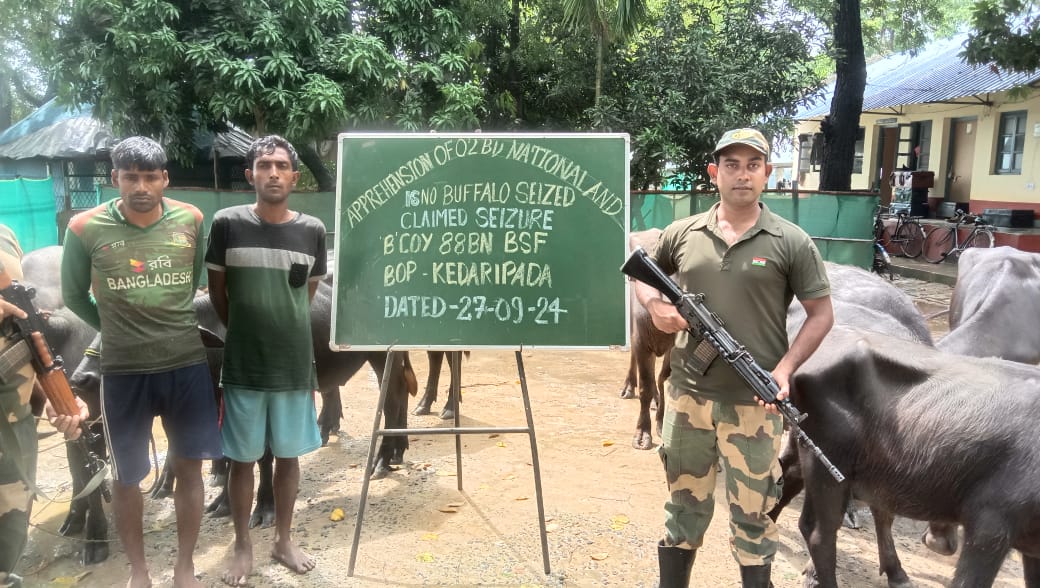 বৃষ্টির সুযোগ নিয়ে রাতের অন্ধকারে মালদায় চলছিল মহিষ পাচারের চেষ্টা