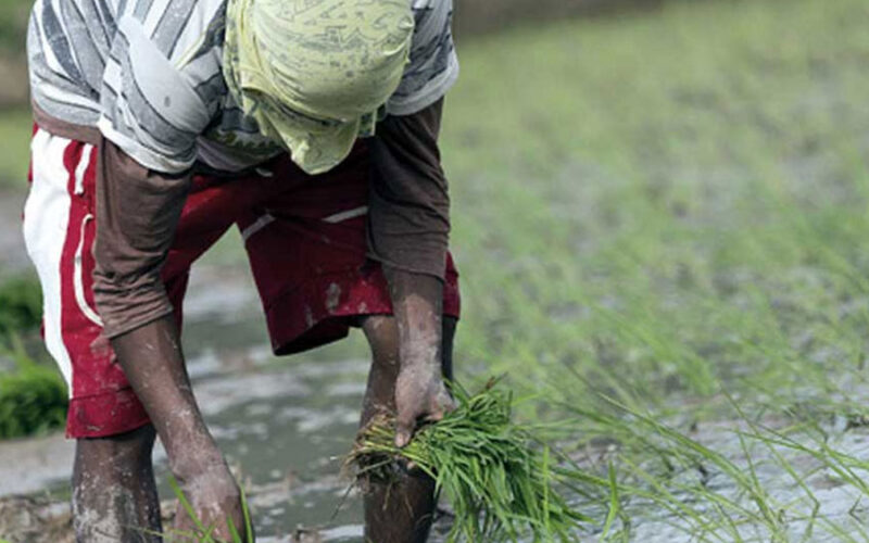 রাজ্যের চাষীদের জন্য বড় ঘোষণা