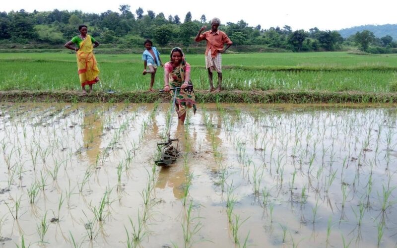 জীবন বাঁচাতে কৃষকদের আর্তনাদ