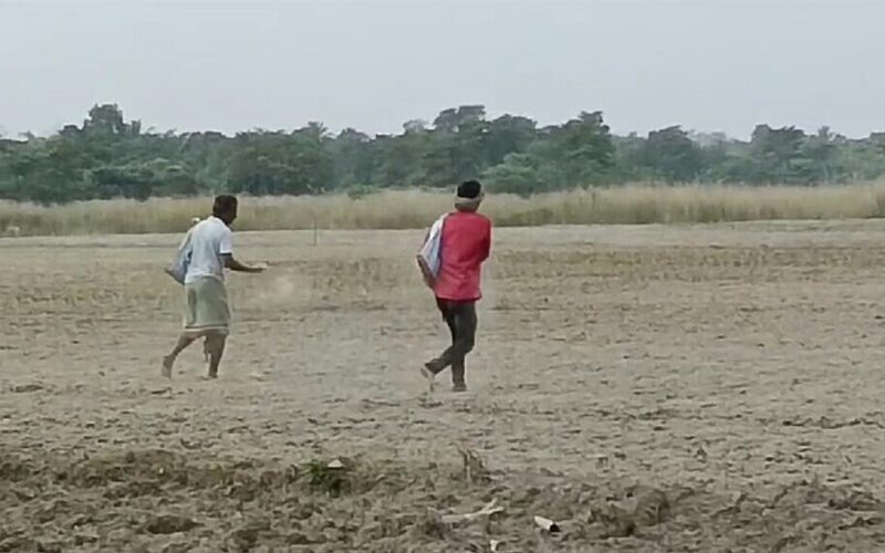 শাকসবজির দাম আকাশ ছোঁয়া হলেও হাল ছাড়েননি কৃষকেরা