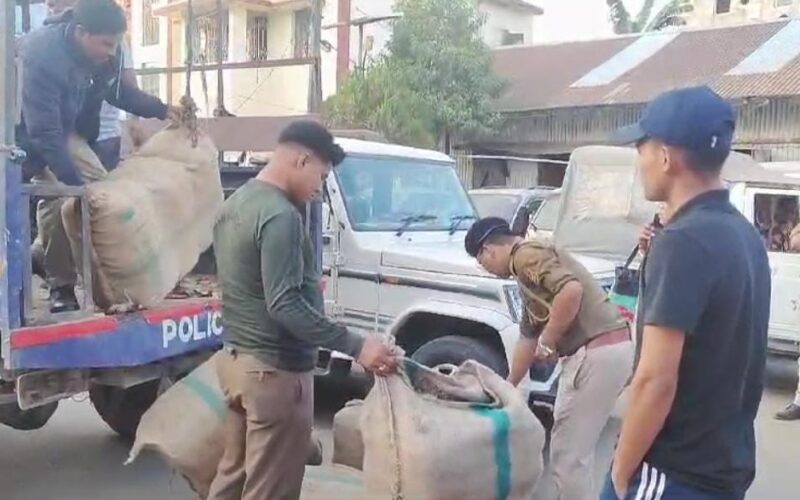 গোপন খবরের ভিত্তিতে চরিলাম রামছড়া এলাকার ভৌমিক বাড়ি থেকে উদ্ধার শুকনো ৩০৩ কেজি গাঁজা